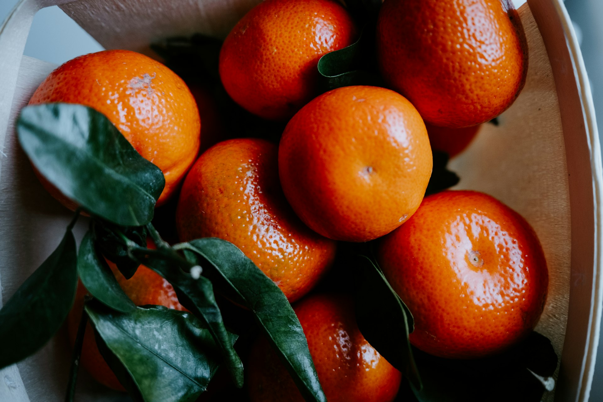 a close up of a bowl of oranges with leaves